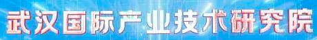 武汉国际产业技术研究院